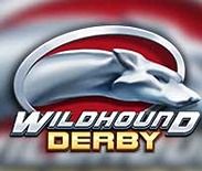 Wildhound Derby